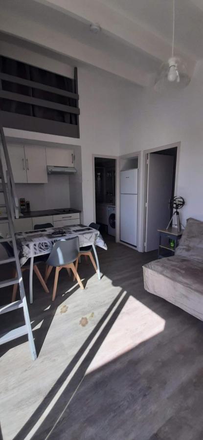 La Casel Appartement Cosy Avec Terrasse Proche Plage - Clim - Parking Saint-Cyprien  Bagian luar foto