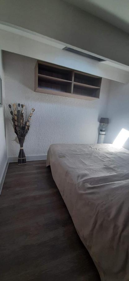 La Casel Appartement Cosy Avec Terrasse Proche Plage - Clim - Parking Saint-Cyprien  Bagian luar foto